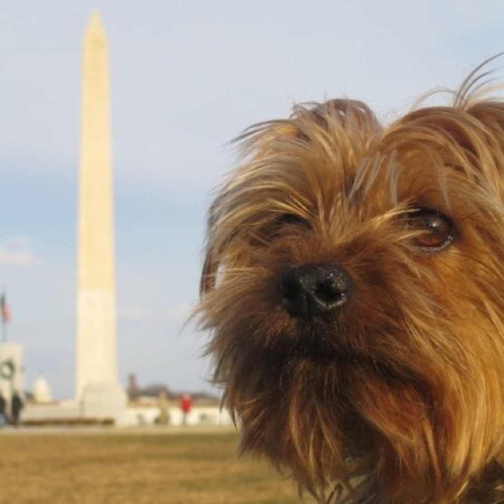 Meet your Posher, Gerald